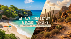 Aruba Hidden Covers